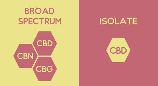 Broad Spectrum CBD Vs Isolate CBD