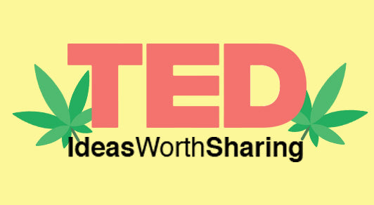 3 amazing TED Talks about Cannabis